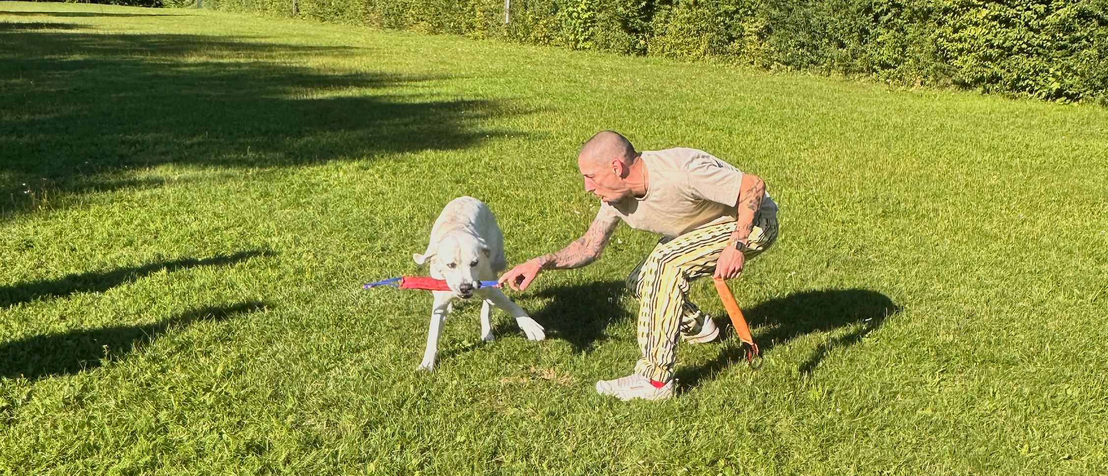 Hundesport Training